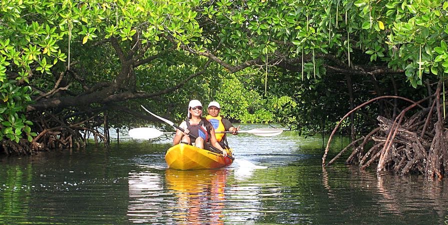 Kayaking in Havelock island